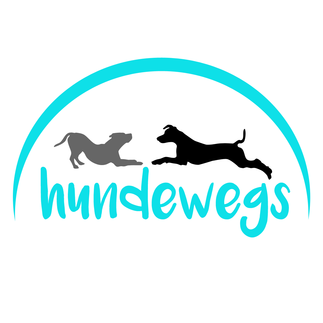 hundewegs – Dogwalker / Gassiservice Köln